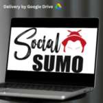 Local Social Sumo The Ultra Rare Secrets to Managing Compaigns For Local Clients